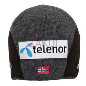 스키비니 PHENIX Norway Team Watch Cap CG